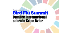 International Bird Flu Summit. Pandemia. Gripe aviar.