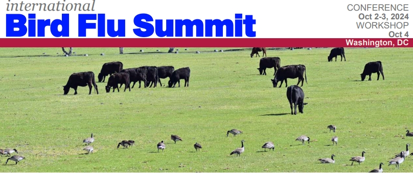 International Bird Flu Summit. Pandemia. Gripe aviar.